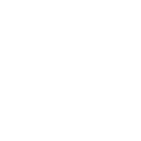 Vivid Theory